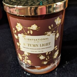 Scentsational Autumn Light Candle 11 oz Single Wick- Brown and Gold Earthy Scent